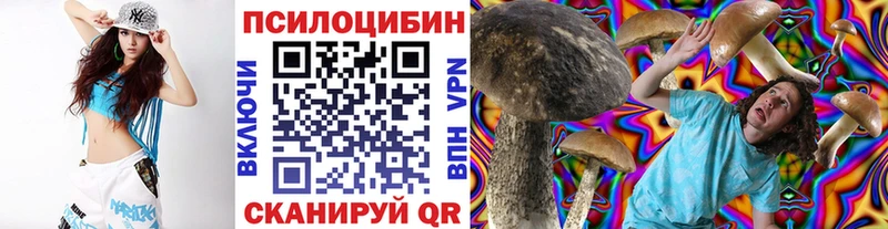 Псилоцибиновые грибы Psilocybe  Мглин 